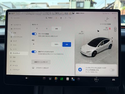 2024 Tesla MODEL 3 缩略图 41