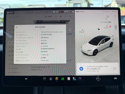 2024 Tesla MODEL 3 缩略图 45