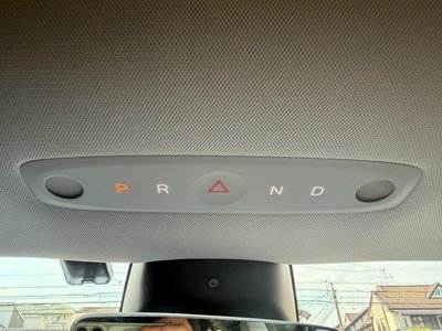 2024 Tesla MODEL 3 缩略图 30