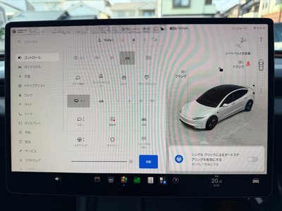 2024 Tesla MODEL 3 缩略图 34