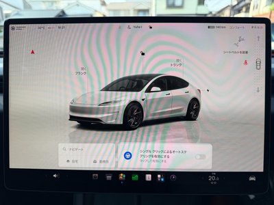 2024 Tesla MODEL 3 缩略图 33