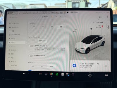 2024 Tesla MODEL 3 缩略图 39