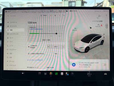 2024 Tesla MODEL 3 缩略图 36