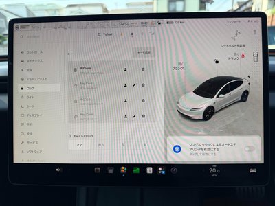 2024 Tesla MODEL 3 缩略图 38