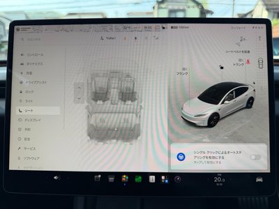 2024 Tesla MODEL 3 缩略图 40