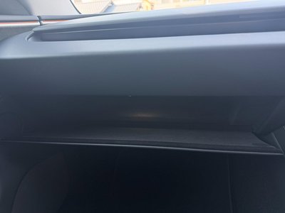 2024 Tesla MODEL 3 缩略图 52