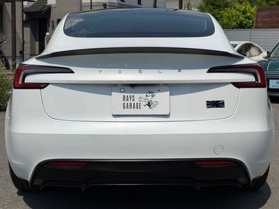 2024 Tesla MODEL 3 缩略图 11