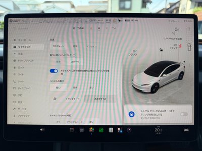2024 Tesla MODEL 3 缩略图 35