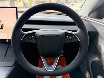 2024 Tesla MODEL 3 缩略图 29