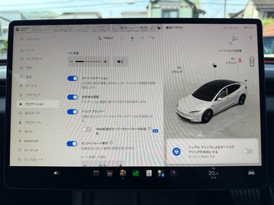 2024 Tesla MODEL 3 缩略图 50