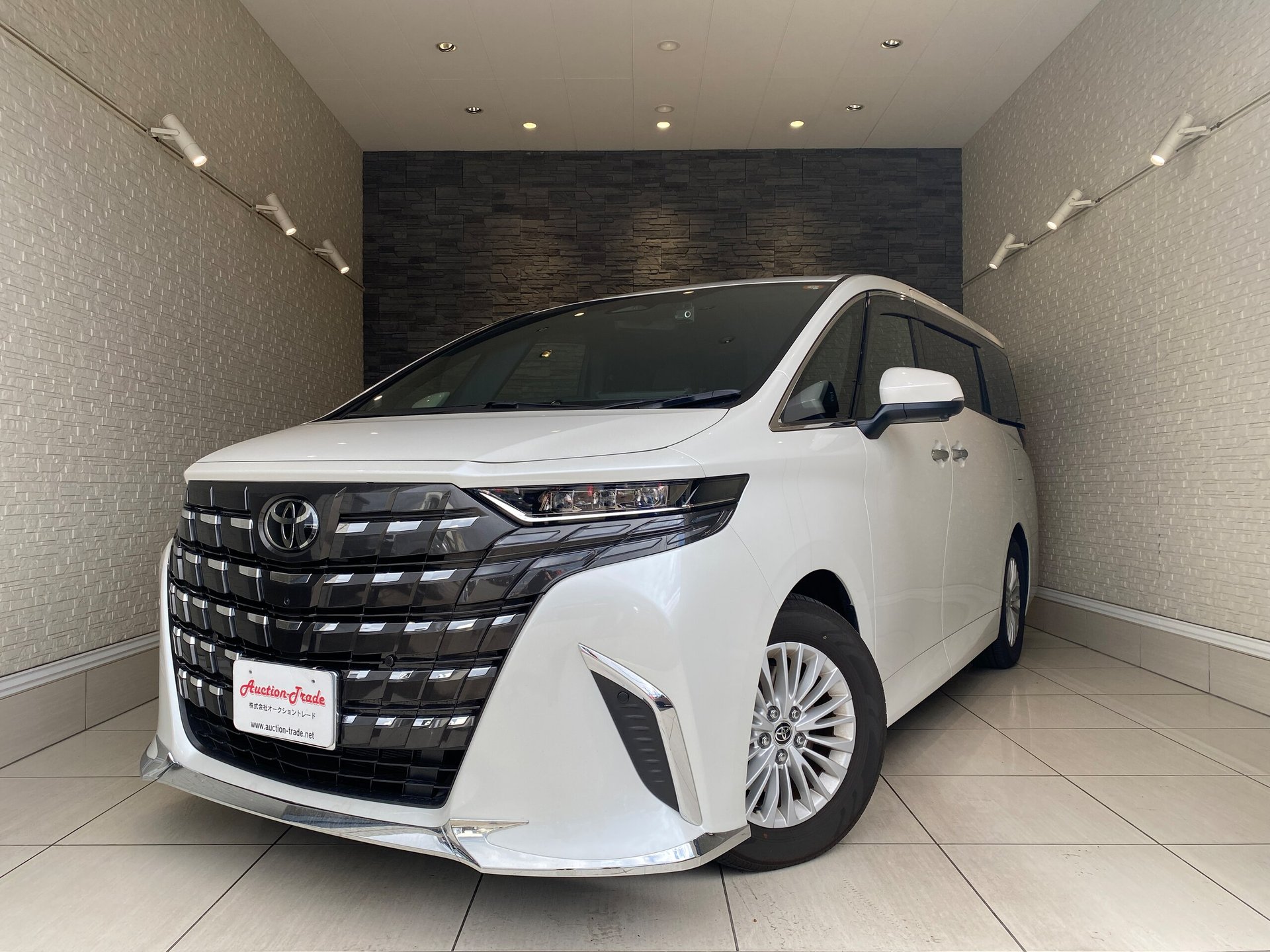 TOYOTA ALPHARD - View 1