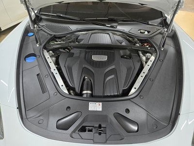 2020 Porsche PANAMERA 照片 2