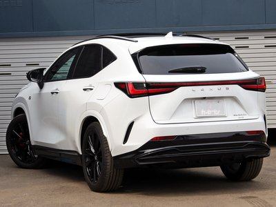 LEXUS NX - 6