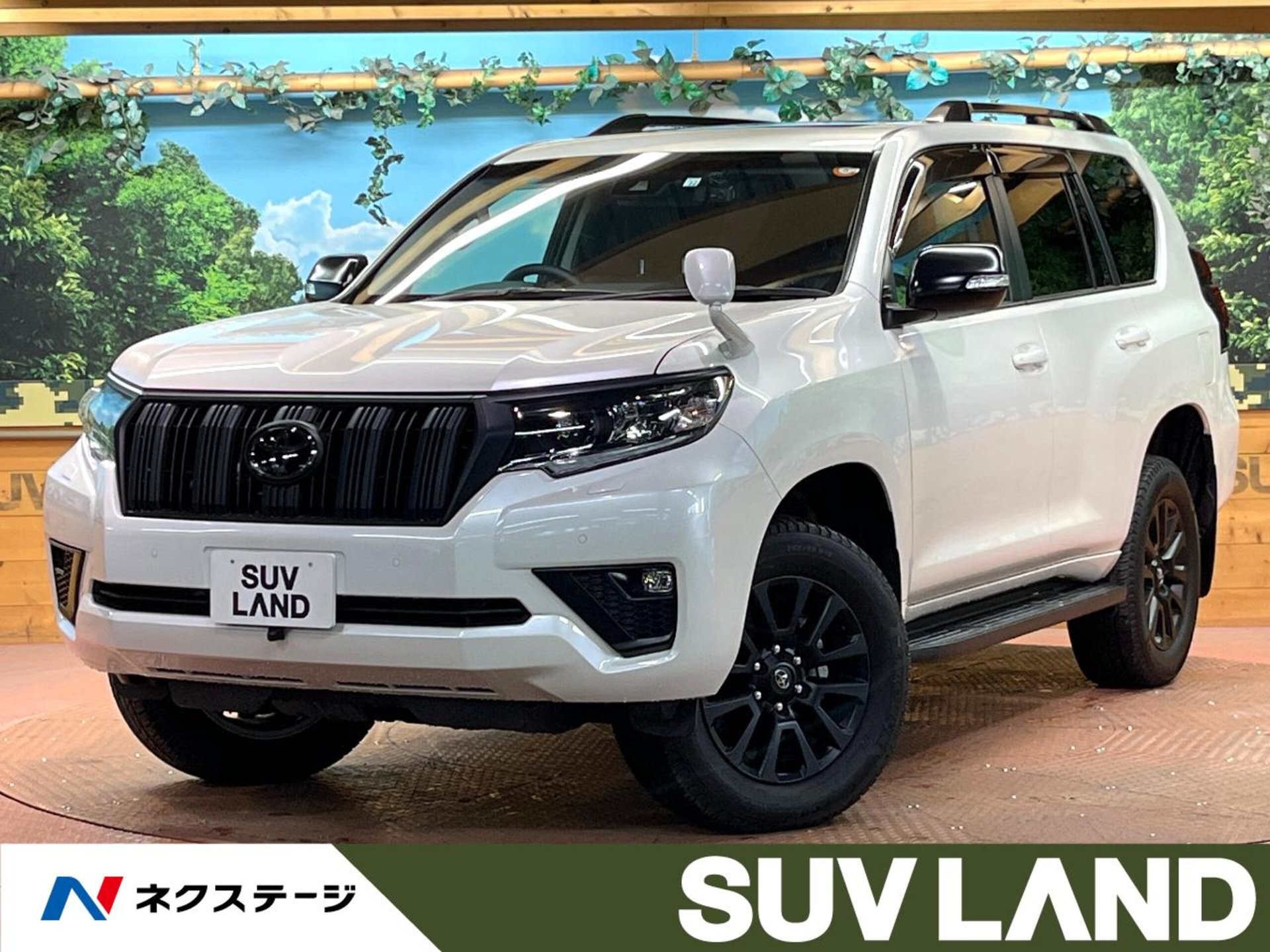 TOYOTA LAND CRUISER PRADO - View 1