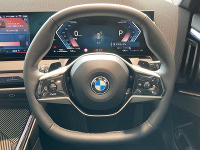 2025 BMW X3 缩略图 30