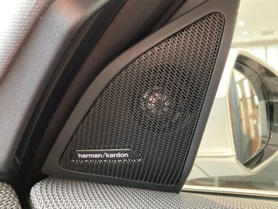 2025 BMW X3 缩略图 51