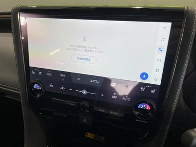 2024 TOYOTA ALPHARD — миниатюра 28