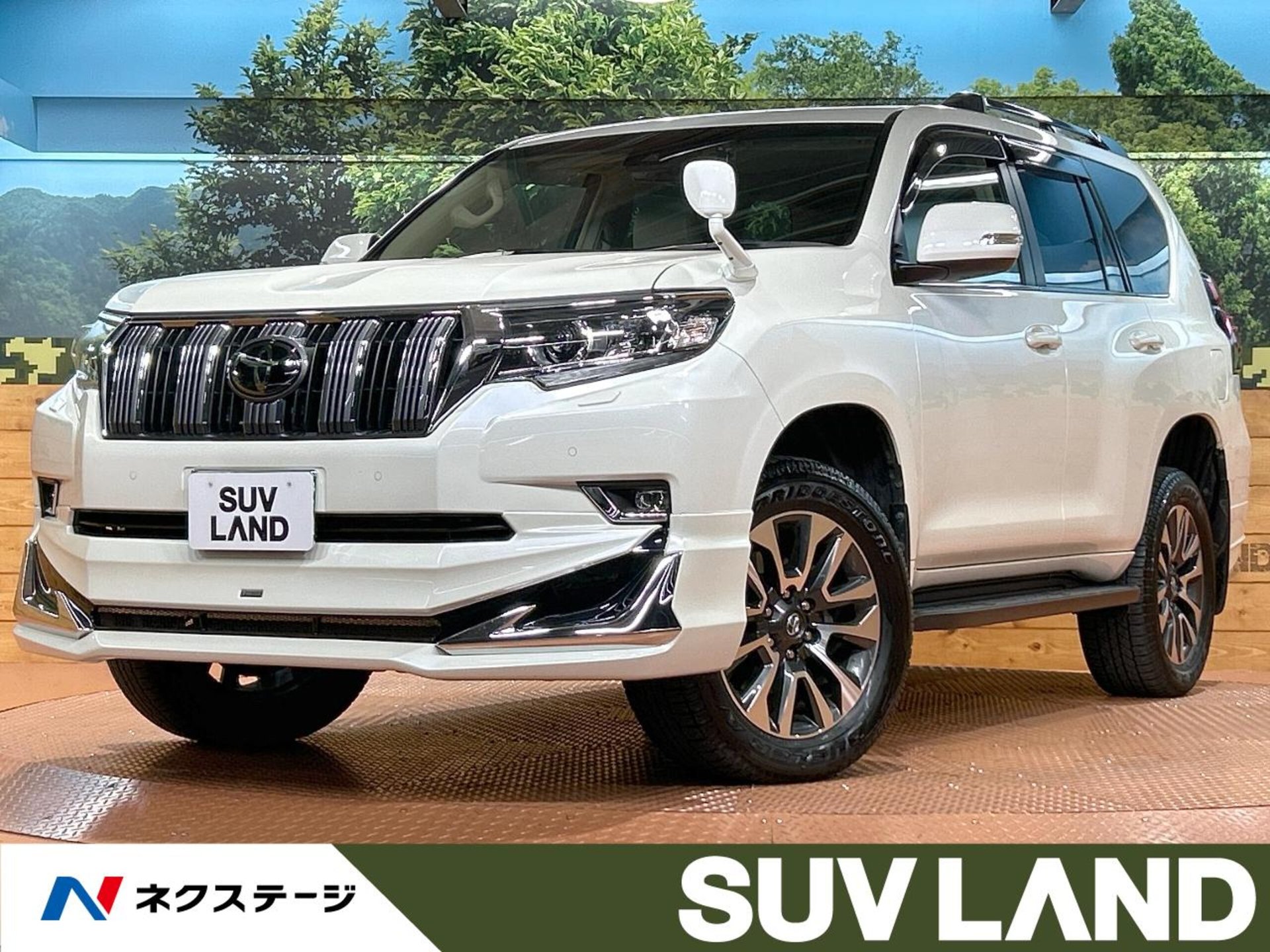 TOYOTA LAND CRUISER PRADO - View 1