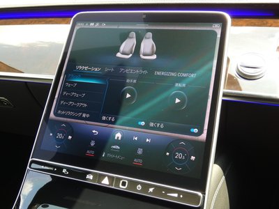 2021 Mercedes-BENZ S-CLASS — миниатюра 49