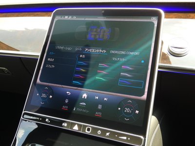 2021 Mercedes-BENZ S-CLASS — миниатюра 16