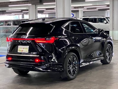 2023 Lexus NX 照片 6