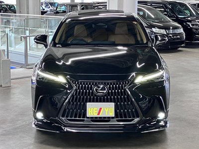 2023 Lexus NX 照片 9