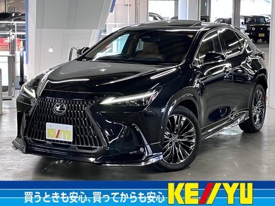 2023 Lexus NX 照片 1