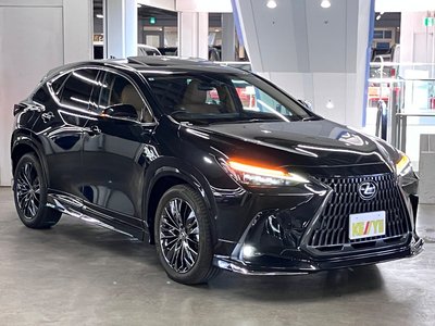 2023 Lexus NX 照片 8