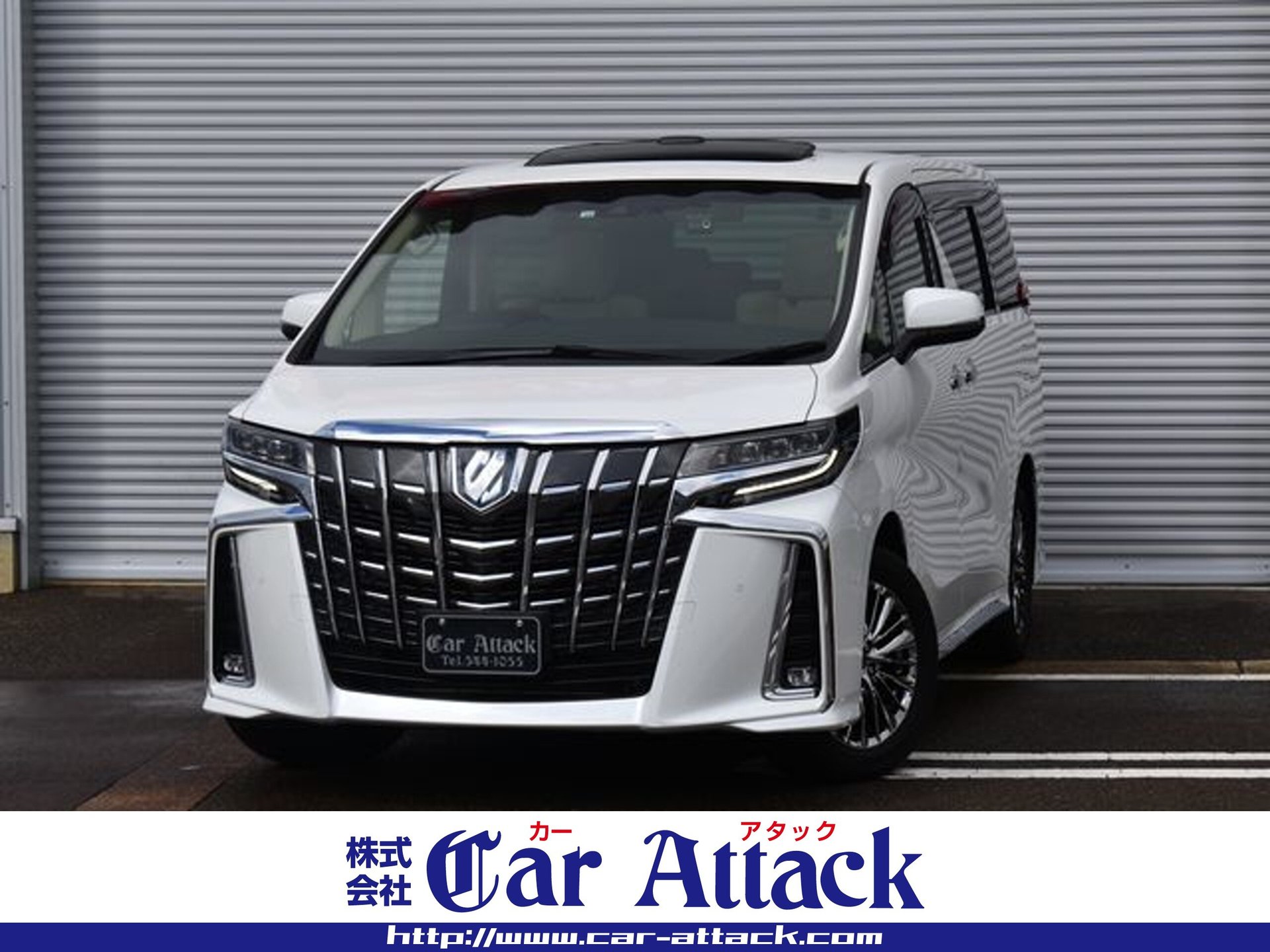 TOYOTA ALPHARD - View 1