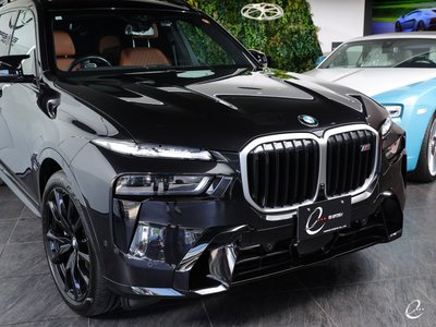 2023 BMW X7 thumbnail 29