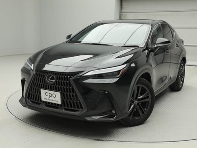 LEXUS NX - 1