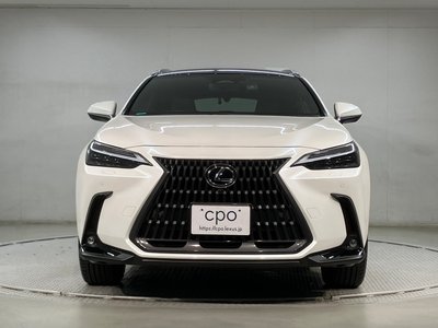 LEXUS NX - 2