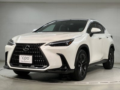 LEXUS NX - 1