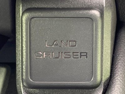 صورة مصغرة 35 لـ 2025 Toyota LAND CRUISER 250
