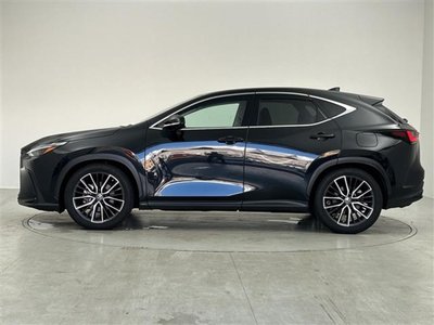 2022 Lexus NX 缩略图 37