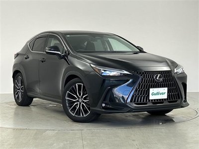 2022 Lexus NX photo 1
