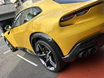 FERRARI PUROSANGUE - 10