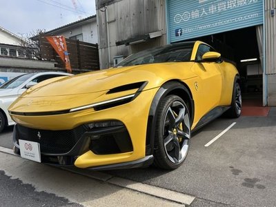 FERRARI PUROSANGUE - 1