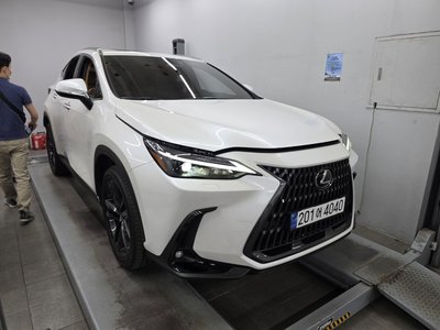 2025 Lexus NX — фото 10