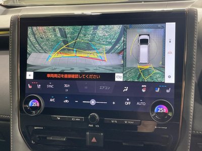 2024 TOYOTA ALPHARD 照片 4
