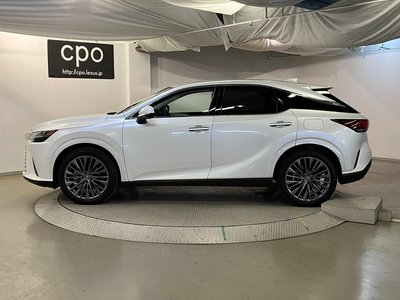 LEXUS RX - 9