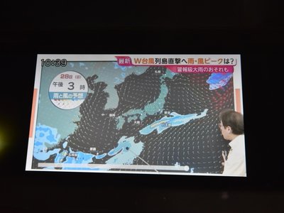 Thumbnail 29