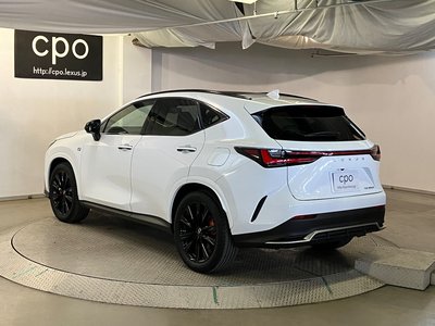 2023 Lexus NX 照片 9