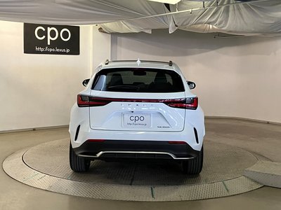 2023 Lexus NX 照片 10
