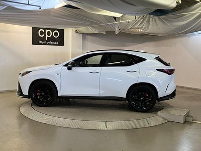 2023 Lexus NX 照片 6