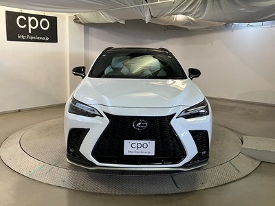 2023 Lexus NX 照片 3