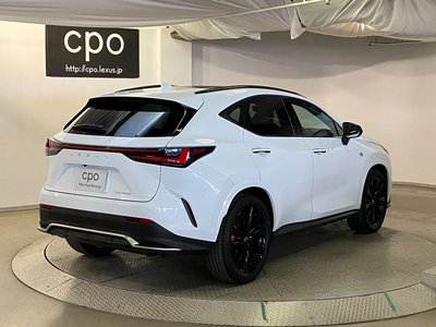 2023 Lexus NX 照片 2