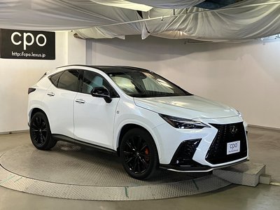 2023 Lexus NX 照片 8