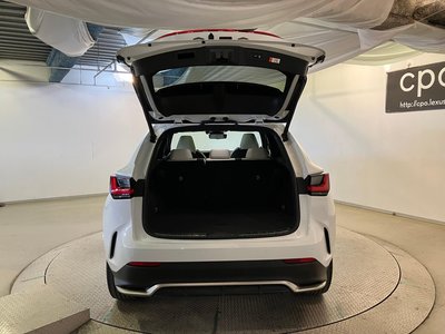 2023 Lexus NX 缩略图 11