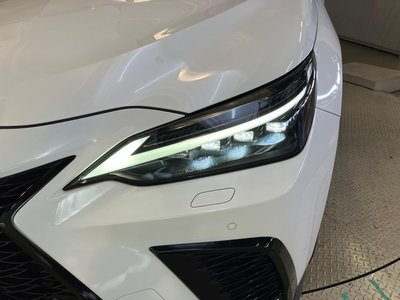 2023 Lexus NX 缩略图 14